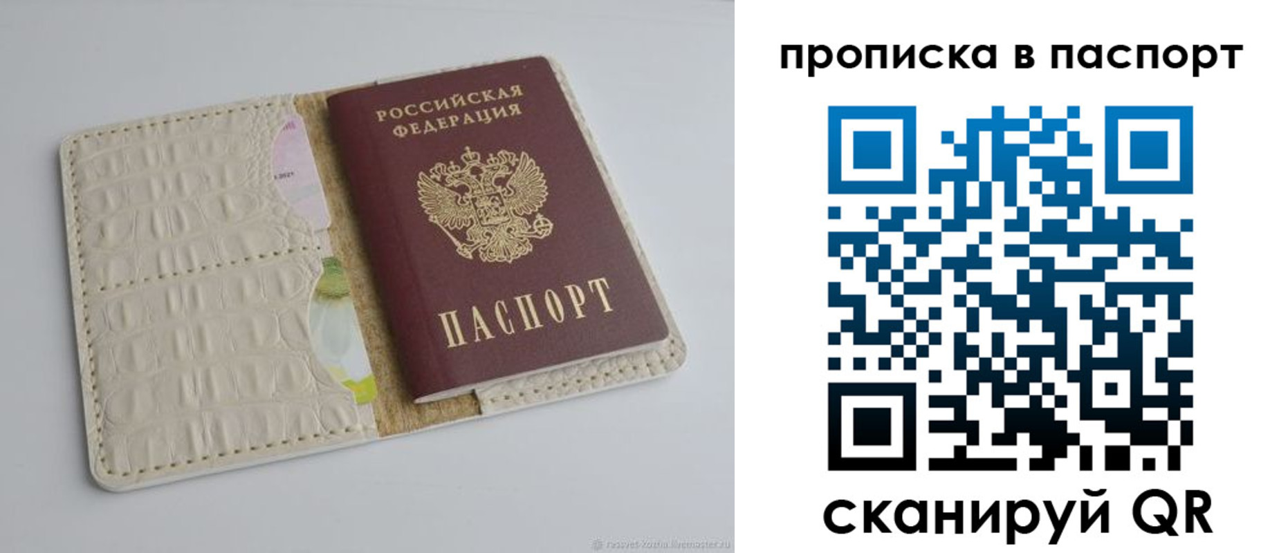 временная регистрация собственник в Елизово