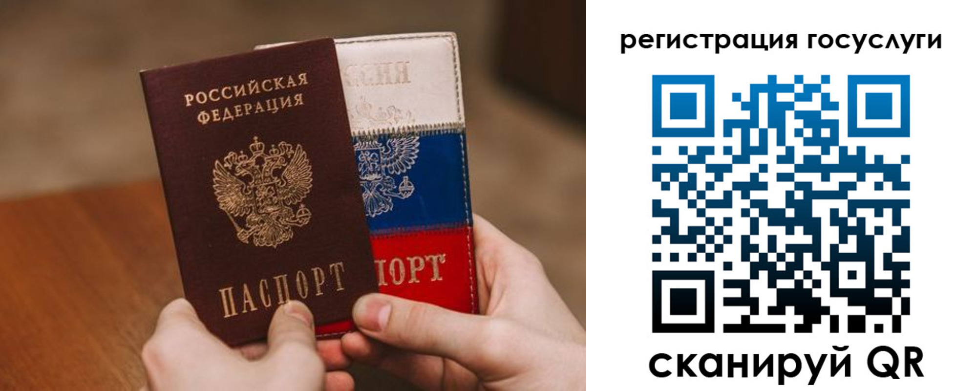 купить прописку в Елизово